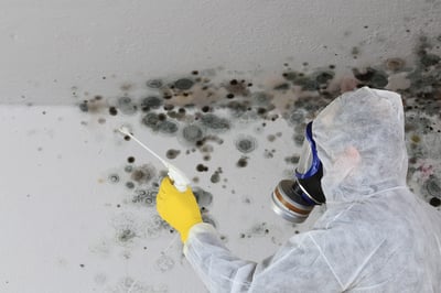 how does black mold remediation work