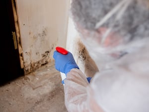 can you stay in home during mold remediation