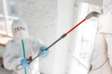 What chemicals do mold remediation companies use