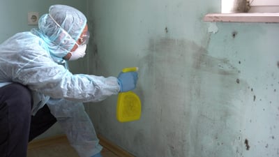 when is mold remediation required? the importance