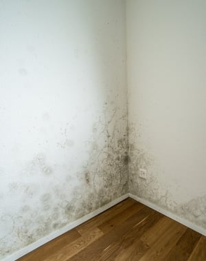 what is mold remediation - health risks