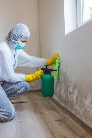 the mold remediation process - how long does mold remediation take
