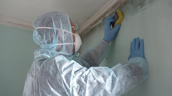 what happens during mold remediation