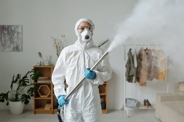 how effective is fogging for mold remediation