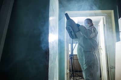 safe professional mold removal