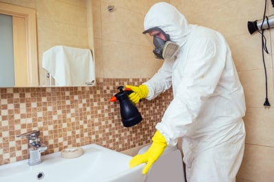 similarities with mold abatement and remediation