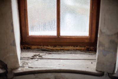 what to do if mold comes back in your home