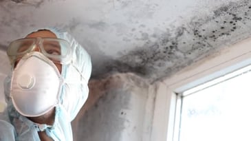 When is mold remediation required?