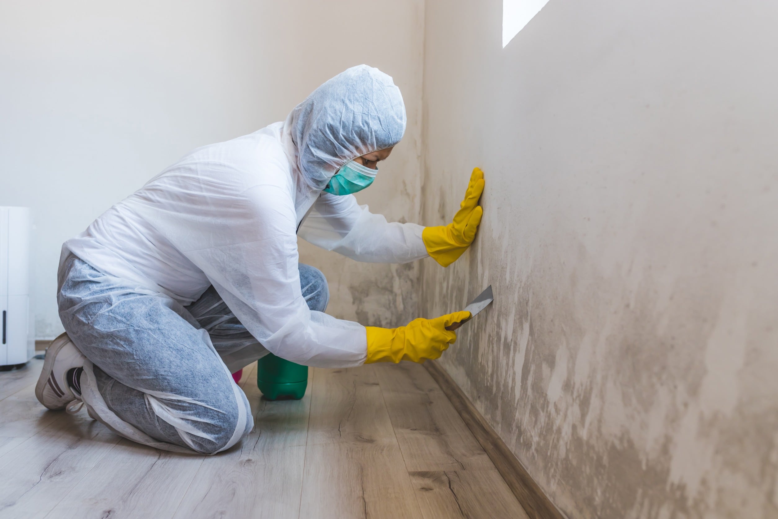 How Long Does Mold Remediation Take? A Guide to Effective Mold Removal