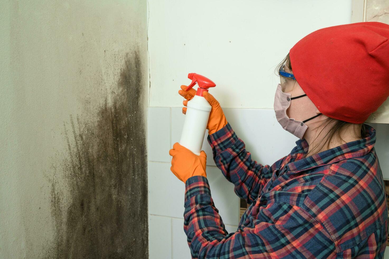 The Hidden Dangers of DIY Mold Remediation